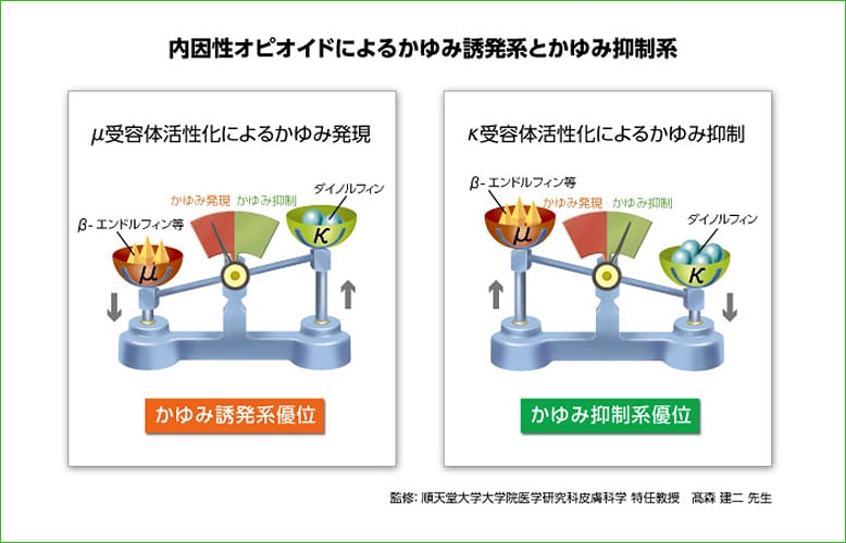 img_congestion_itch_04