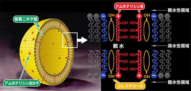 img_progress_02 img_progress_02